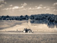 Immer noch Hochwasser auf der Weide  PENTAX K-3 Mark III Monochrome, HD PENTAX - DA* 2.8/16-50 ED PLM AW  - 24.06.2024 -
