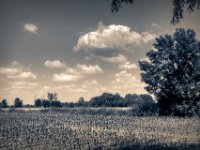 Felder und Windrad  PENTAX K-3 Mark III Monochrome, HD PENTAX - DA* 2.8/16-50 ED PLM AW  - 24.06.2024 -