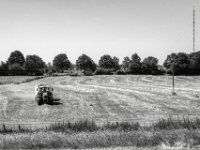 Heu  PENTAX K-3 Mark III Monochrome, HD PENTAX - DA* 2.8/ 11-18 ED DC AW  - 25.06.2024 -