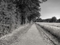 Radler  PENTAX K-3 Mark III Monochrome, HD PENTAX - DA* 2.8/ 11-18 ED DC AW  - 25.06.2024 -