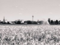 Feld-Wasser-Stadtrand  PENTAX K-3 Mark III Monochrome, HD PENTAX - DA* 2.8/ 11-18 ED DC AW  - 25.06.2024 -