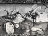 Insekten Graffito  PENTAX K-3 Mark III Monochrome, SMC PENTAX-FA 1.8/77 Limited  - 25.09.2024 -