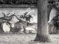 Parkbaum  PENTAX K-3 Mark III Monochrome, SMC PENTAX-FA 1.8/77 Limited  - 25.09.2024 -