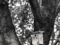 Vogelhaus  PENTAX K-3 Mark III Monochrome, SMC PENTAX-FA 1.8/77 Limited  - 25.09.2024 -