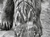 Das Holzpferd ist nicht glücklich  PENTAX K-3 Mark III Monochrome, SMC PENTAX-FA 1.8/77 Limited  - 25.09.2024 -