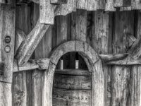 Durchschlupf  PENTAX K-3 Mark III Monochrome, SMC PENTAX-FA 1.8/77 Limited  - 25.09.2024 -