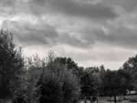 Wolken überm Park  PENTAX K-3 Mark III Monochrome, SMC PENTAX-FA 1.8/77 Limited  - 25.09.2024 -