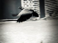Abflug  PENTAX K-3 Mark III Monochrome, SMC PENTAX-FA 1.8/77 Limited  - 25.09.2024 -