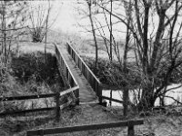 Brücke am Rotbach  Pentax MZ-S, Pentax SMC 1.9/43 Limited, Adox CHS 100II  - 28.01.2024 -
