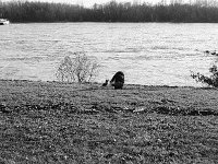 Am Ufer  Pentax MZ-S, Pentax SMC 1.9/43 Limited, Adox CHS 100II  - 28.01.2024 -