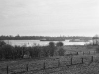 Schiffsverkehr  Pentax MZ-S, Pentax SMC 1.9/43 Limited, Adox CHS 100II  - 28.01.2024 -