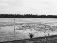 Stilles und wildes Wasser  Pentax MZ-S, Pentax SMC 1.9/43 Limited, Adox CHS 100II  - 28.01.2024 -