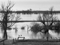 Paare  Pentax MZ-S, Pentax SMC 1.9/43 Limited, Adox CHS 100II  - 28.01.2024 -