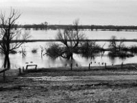 Abgetaucht  Pentax MZ-S, Pentax SMC 1.9/43 Limited, Adox CHS 100II  - 28.01.2024 -