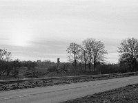 Baumstamm mit Storchennest  Pentax MZ-S, Pentax SMC 1.9/43 Limited, Adox CHS 100II  - 28.01.2024 -