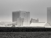 esco im Morgendunst  PENTAX K-3 Mark III Monochrome, HD PENTAX - D FA* 2.8/70-200 ED DC AW   - 28.07.2024 -