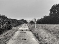 Zwischen Feldern  PENTAX K-3 Mark III Monochrome, HD PENTAX - D FA* 2.8/70-200 ED DC AW   - 28.07.2024 -