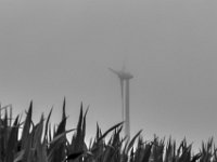 Windrad im Morgendunst  PENTAX K-3 Mark III Monochrome, HD PENTAX - D FA* 2.8/70-200 ED DC AW   - 28.07.2024 -