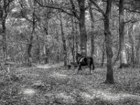 Begegnung  PENTAX K-3 Mark III Monochrome, SMC PENTAX-FA 1.9/43 Limited  - 28.10.2024 -