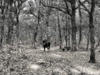 ... und vorbei  PENTAX K-3 Mark III Monochrome, SMC PENTAX-FA 1.9/43 Limited  - 28.10.2024 -