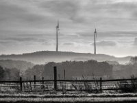 Herbst Morgenlicht  PENTAX K-3 Mark III Monochrome, SMC PENTAX-FA 1.9/43 Limited  - 28.10.2024 -