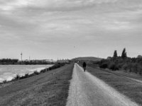 Rheindeich  PENTAX K-3 Mark III Monochrome, SMC PENTAX-FA 1.9/43 Limited  - 28.10.2024 -