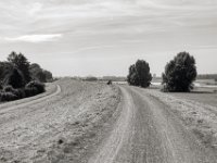 Auf dem Deich bei Duisburg  PENTAX K-3 Mark III Monochrome,  SMC PENTAX-FA 1.8/31 Limited  -29.06.2024 -