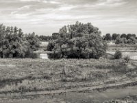 Am Rhein, Auenland #1  PENTAX K-3 Mark III Monochrome,  SMC PENTAX-FA 1.8/31 Limited  -29.06.2024 -