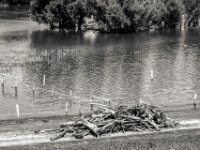 Überbleibsel vom Hochwasser  PENTAX K-3 Mark III Monochrome,  SMC PENTAX-FA 1.8/31 Limited  -29.06.2024 -