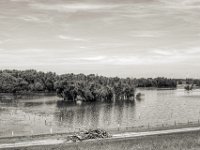 Hochwasserreste  PENTAX K-3 Mark III Monochrome, SMC PENTAX-FA 1.8/31 Limited  -29.06.2024 -