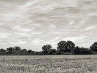 Das alte Haus am Feld  PENTAX K-3 Mark III Monochrome,  SMC PENTAX-FA 1.8/31 Limited  -29.06.2024 -