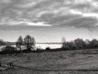 Rheinblick im Morgengrau  PENTAX K-3 Mark III Monochrome, HD PENTAX - DA* 2.8/16-50 ED PLM AW - 29.11.2024 -
