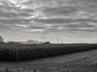 Maisfeld Ernte  #2  PENTAX K-3 Mark III Monochrome, HD PENTAX - DA* 2.8/16-50 ED PLM AW - 29.11.2024 -