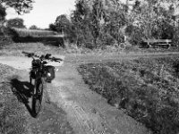 Start im grellen Morgenlicht  Pentax MZ-S, SMC PENTAX-FA 1.8/77 Limited, Gelbfilter, ADOX CHS 100II  -29.09.2024 -