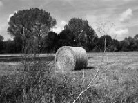 Strohrolle  Pentax MZ-S, SMC PENTAX-FA 1.8/77 Limited, Gelbfilter, ADOX CHS 100II  -29.09.2024 -