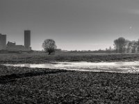 Frostiger Morgen  PENTAX K-3 Mark III Monochrome, SMC PENTAX-FA 1.8/31 AL Limited  - 02.02.2025 -