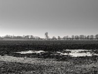 Gefrorene Pfützen  PENTAX K-3 Mark III Monochrome, SMC PENTAX-FA 1.8/31 AL Limited  - 02.02.2025 -
