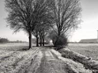 Feldweg  PENTAX K-3 Mark III Monochrome, SMC PENTAX-FA 1.8/31 AL Limited  - 02.02.2025 -