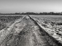 Eis  PENTAX K-3 Mark III Monochrome, SMC PENTAX-FA 1.8/31 AL Limited  - 02.02.2025 -