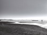 Eisflächen in den Rheinwiesen  PENTAX K-3 Mark III Monochrome, SMC PENTAX-FA 1.8/31 AL Limited  - 02.02.2025 -