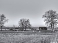 Gebrochen  PENTAX K-3 Mark III Monochrome, SMC PENTAX-FA 1.8/31 AL Limited  - 02.02.2025 -