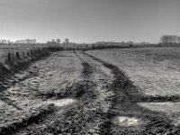 Spuren  PENTAX K-3 Mark III Monochrome, SMC PENTAX-FA 1.8/31 AL Limited  - 02.02.2025 -