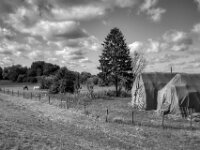 Weide am Deich  PENTAX K-3 Mark III Monochrome, HD PENTAX - HD PENTAX - DA* 2.8/16-50 ED PLM AW   - 02.09-2025 -