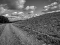 Am Rheindeich entlang  PENTAX K-3 Mark III Monochrome, HD PENTAX - HD PENTAX - DA* 2.8/16-50 ED PLM AW   - 02.09-2025 -