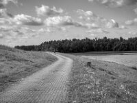 Radfahrer  PENTAX K-3 Mark III Monochrome, HD PENTAX - HD PENTAX - DA* 2.8/16-50 ED PLM AW   - 02.09-2025 -