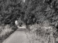 Ruhiger Feldweg  PENTAX K-3 Mark III Monochrome, HD PENTAX - HD PENTAX - DA* 2.8/16-50 ED PLM AW   - 02.09-2025 -