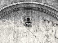 Der Löwenkopf wurde zerstört  PENTAX K-3 Mark III Monochrome, HD PENTAX - HD PENTAX - DA* 2.8/16-50 ED PLM AW   - 02.09-2025 -