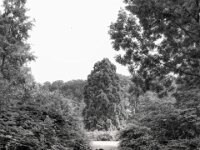 Im Schwelgernpark  PENTAX K-3 Mark III Monochrome, HD PENTAX - HD PENTAX - DA* 2.8/16-50 ED PLM AW   - 02.09-2025 -