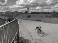 Wasserturm  PENTAX K-3 Mark III Monochrome, HD PENTAX - HD PENTAX - DA* 2.8/16-50 ED PLM AW   - 02.09-2025 -