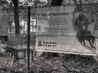 Ausbildungsgelände Rettungshunde  PENTAX K-3 Mark III Monochrome, HD PENTAX - HD PENTAX - DA* 2.8/16-50 ED PLM AW   - 02.09-2025 -